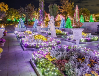 365일 빛축제 가을에 꼭 가봐야할 빛축제 BEST 5