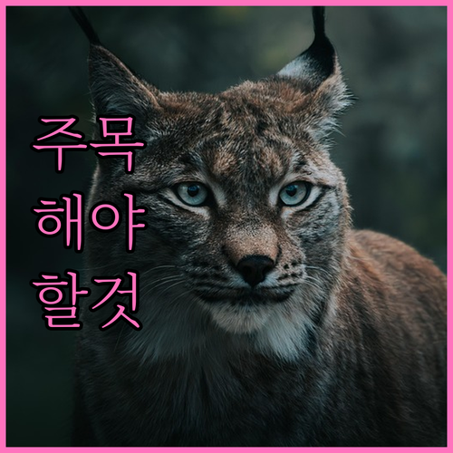 상생소비지원금 늦게 신청해도 최종 지..