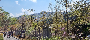 화담숲