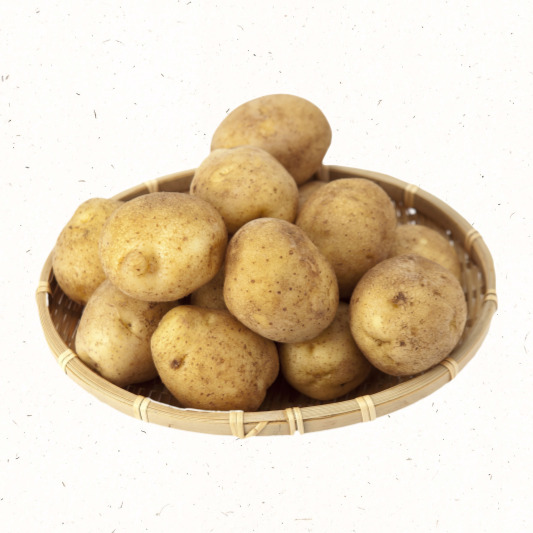 녹색화 방지 그늘 보관 요령