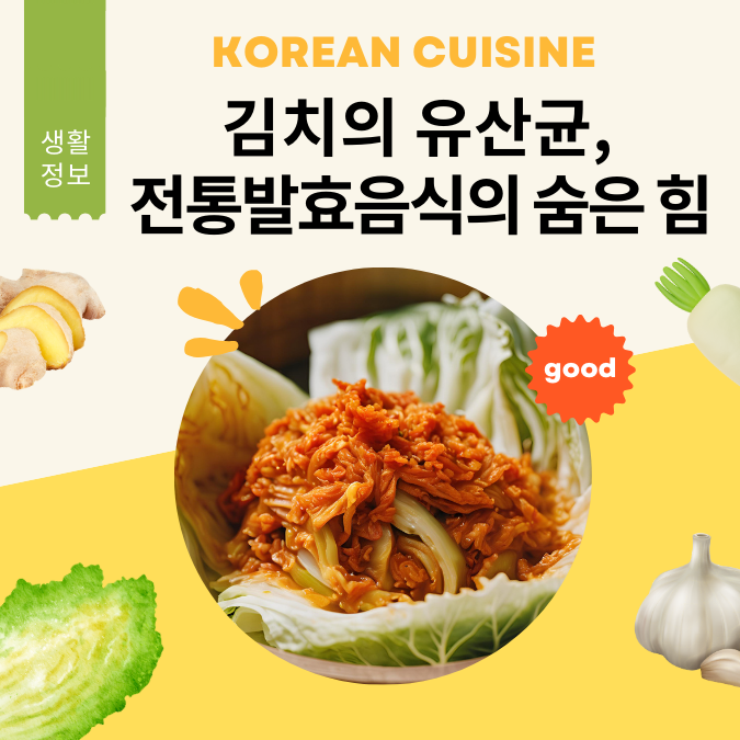 김치의 유산균, 한국이 사랑하는 전통발효음식의 숨은 힘