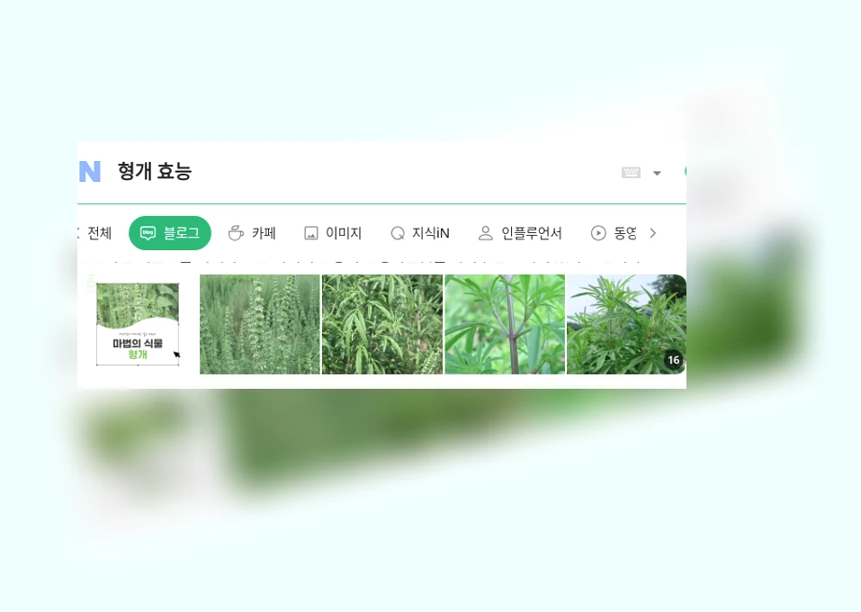 형개 효능_1_subsection