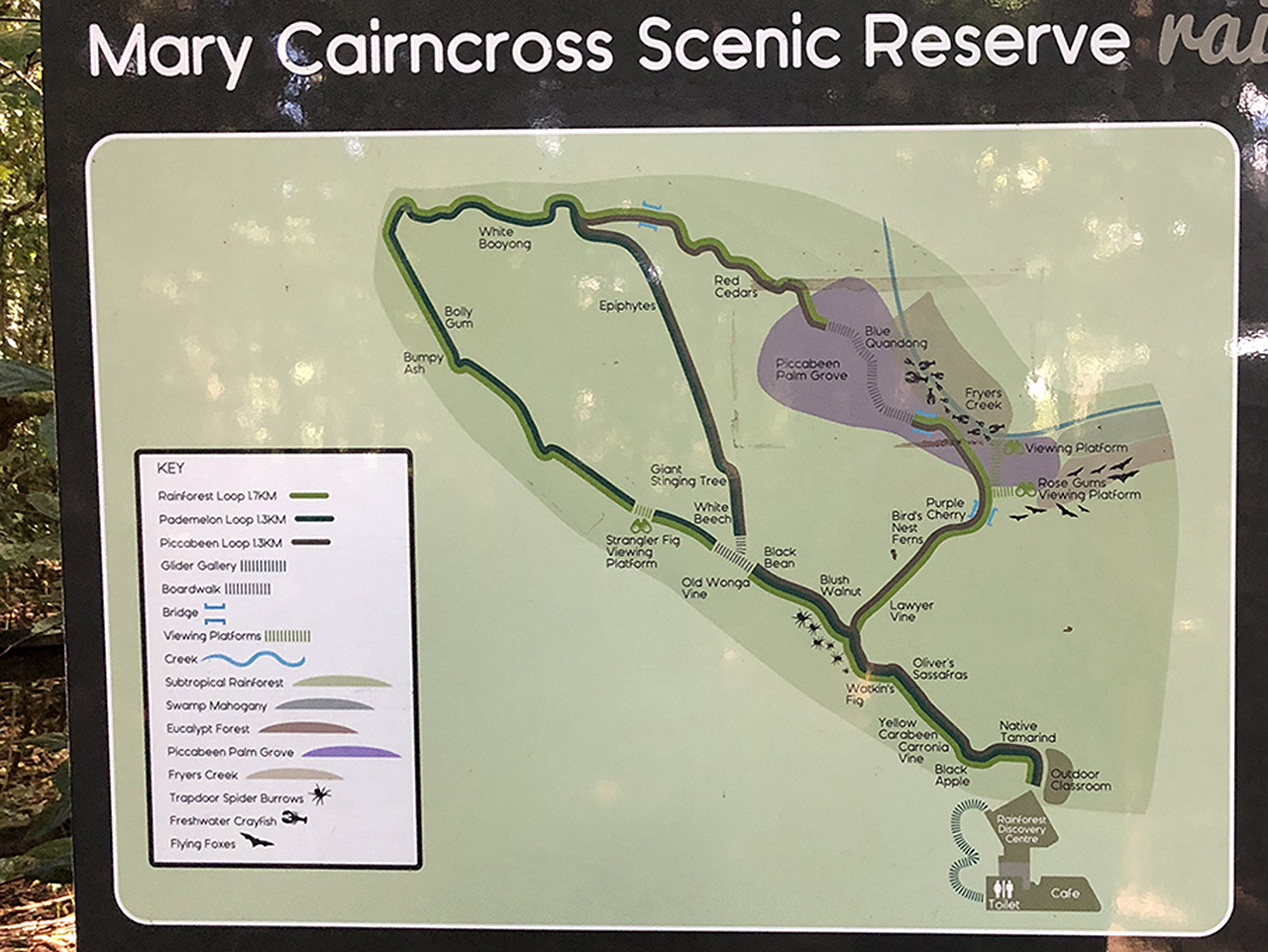 열대우림 트레킹 코스 안내