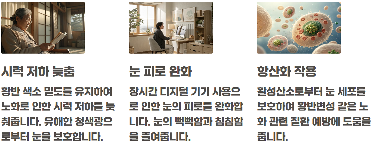 루테인 지아잔틴 효능 부작용