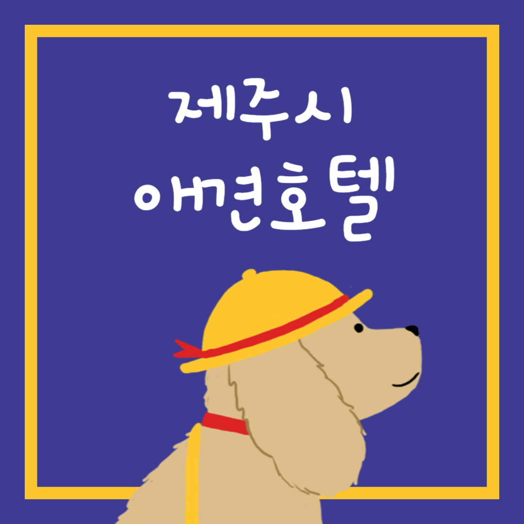 제주시 애견호텔