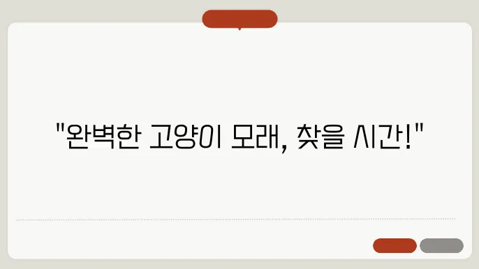 고양이 모래 추천 리스트, 가격대별 완벽 분석 이드