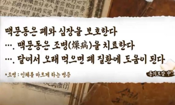 맥문동 효능