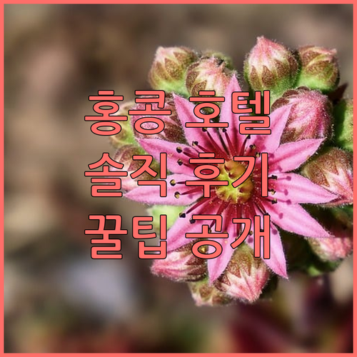 홍콩 리갈 에어포트 호텔, 솔직 후기