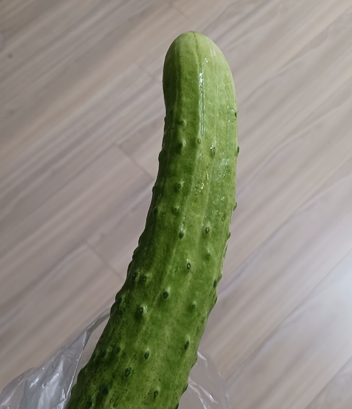 오이의 역사와 특징, 익숙해서 더 자주 찾게 되는 채소