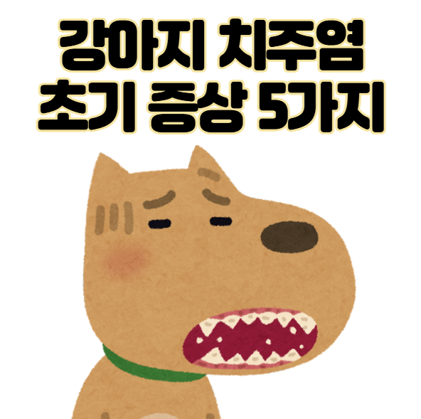 강아지 치주염 초기 증상 3가지 방심하면 안되는 진짜 이유