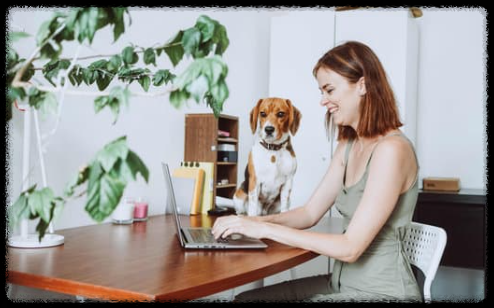 재택 근무 사이트 추천 ❘ 돈 버는 재택알바 &amp; 리모트잡 플랫폼 총정리 수익창출 크몽 숨고 재택나라 프립워크 원티드 프리랜서 매칭 파트타이머 일자리 N잡