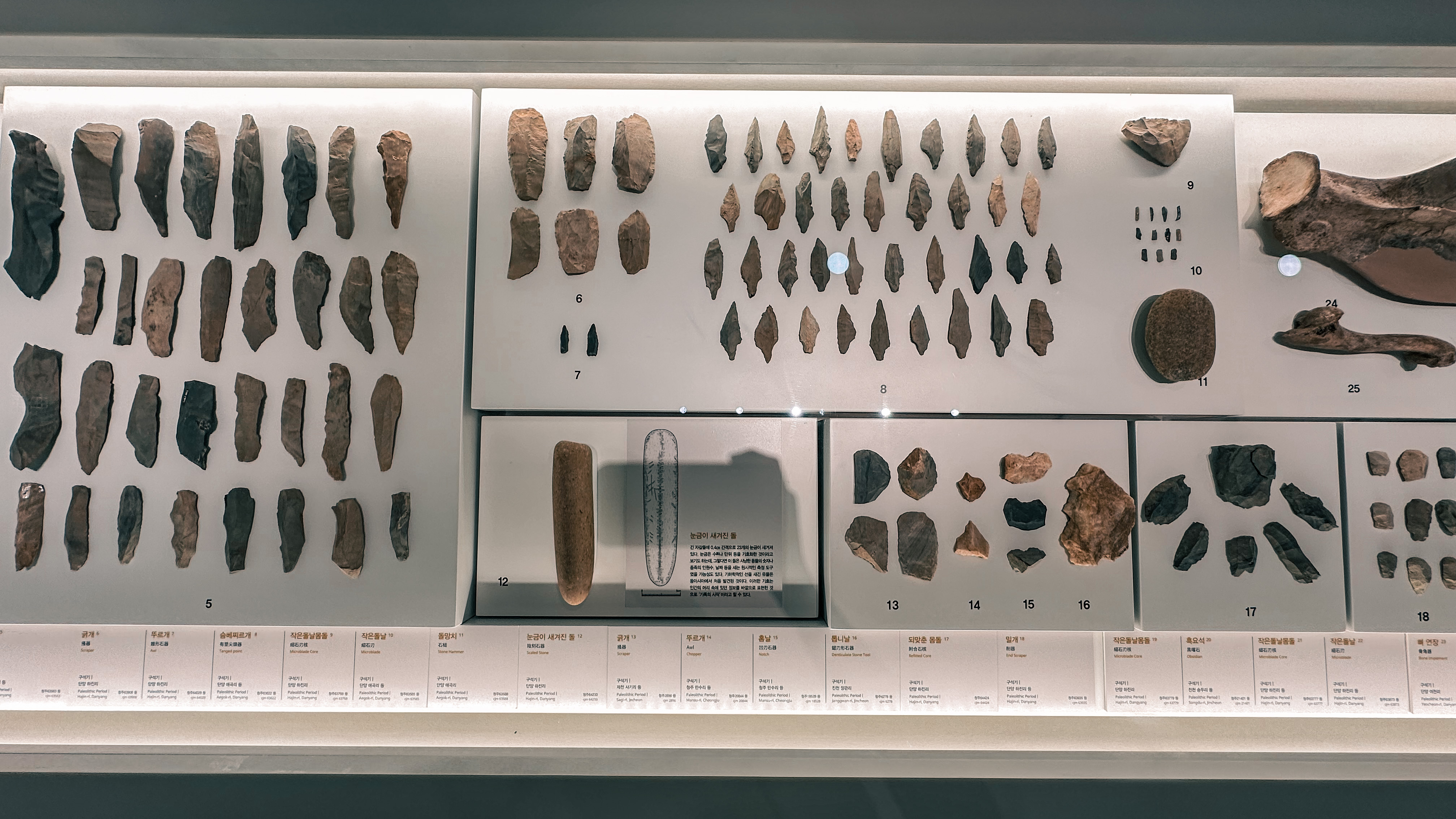 청주 국립 박물관