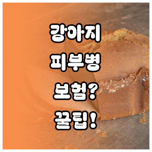 강아지 피부병 보험 가입 시 꼭 체크..