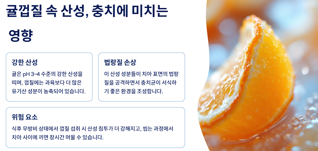 귤껍질 속 산성, 충치에 미치는 영향