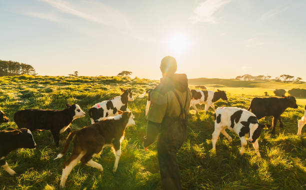 농업인자녀학자금 신청 요령