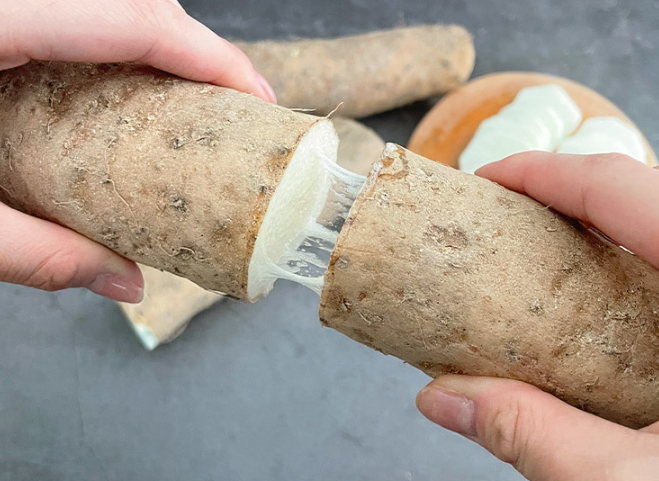 모자농원 안동 마