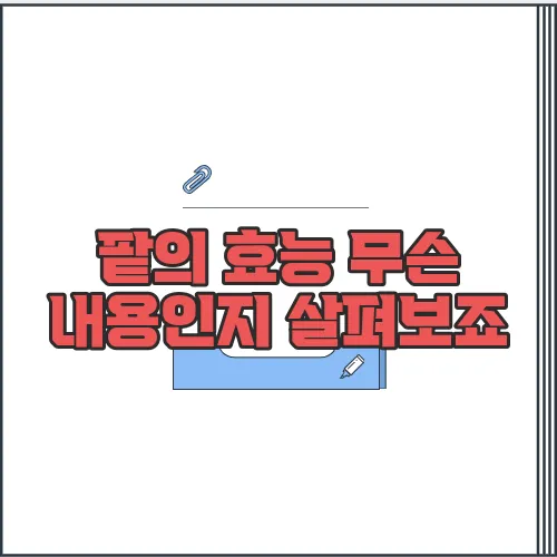 팥의 효능 무슨 내용인지 살펴보죠