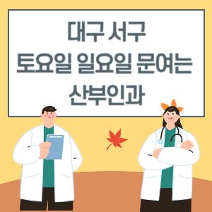 대구 서구 토요일 일요일 산부인과 진료 문여는 병원 리스트