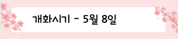 봄꽃 여행지