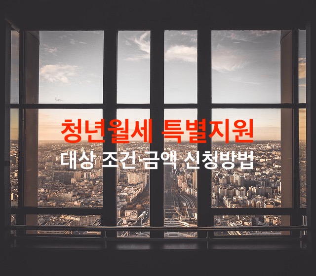 청년월세 특별지원