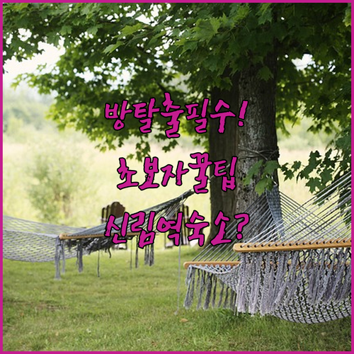 관악구 신림역 방탈출 초보자 입문 가..
