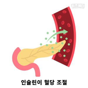 혈당 정상수치