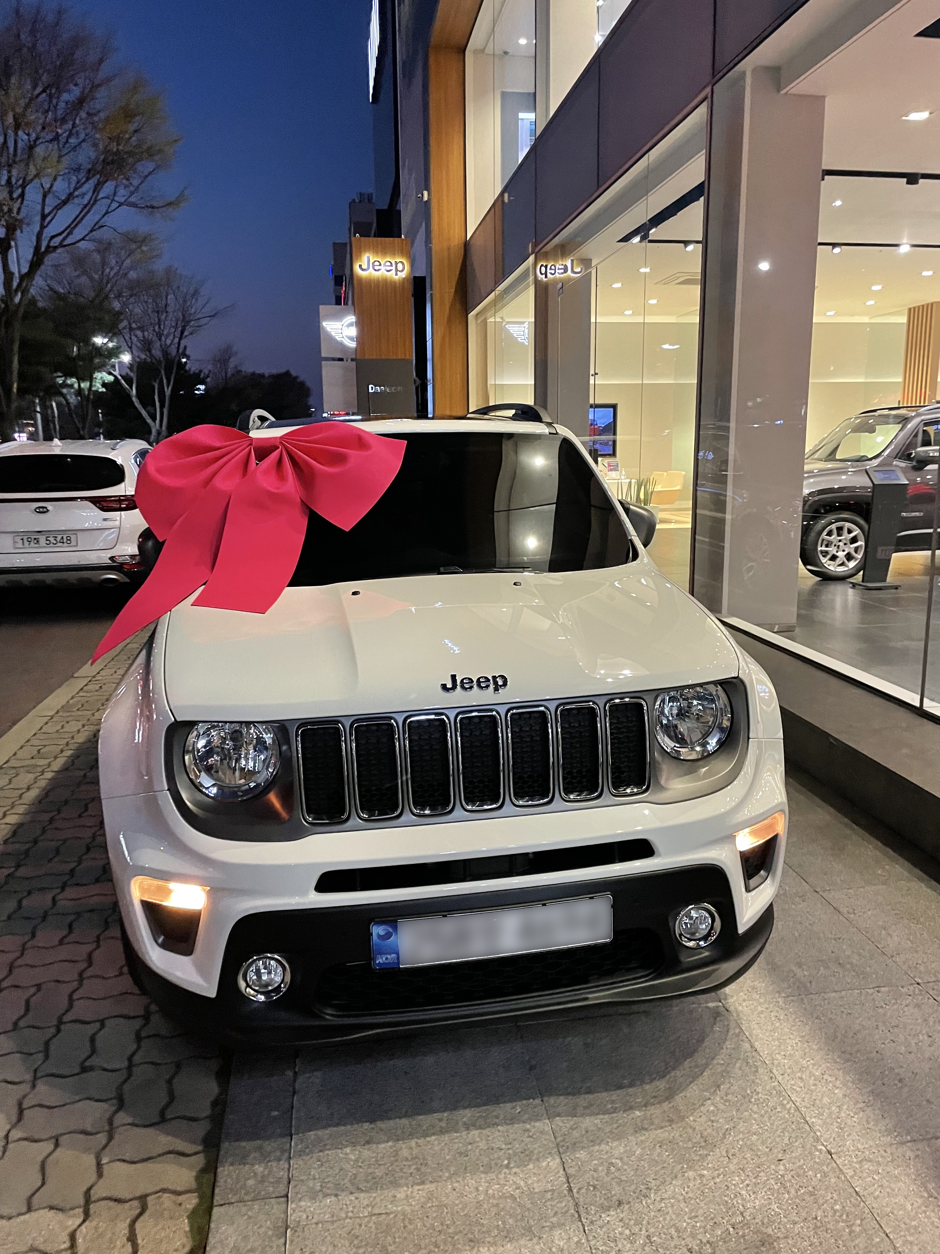 레니게이드 출고