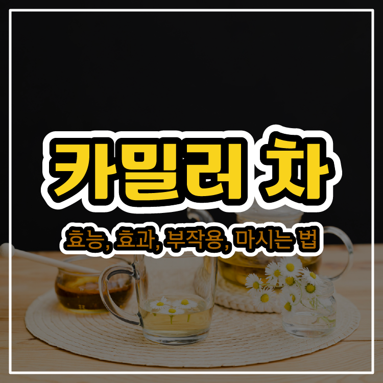 카밀러(캐모마일, 카밀레) 차의 수면 효과 - 효능, 부작용, 마시는 법