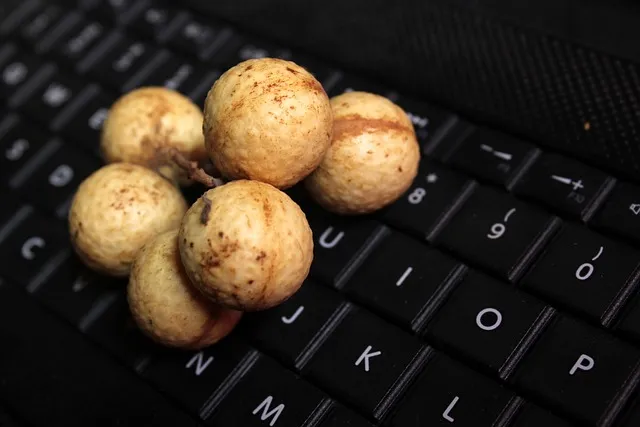 여주 가볼만한곳 베스트10 완벽 관광 가이드_3