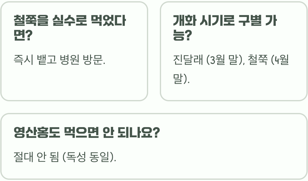진달래 vs 철쭉, 절대 헷갈리면 안 되는 독성 식물 1분 만에 완벽 구분하기