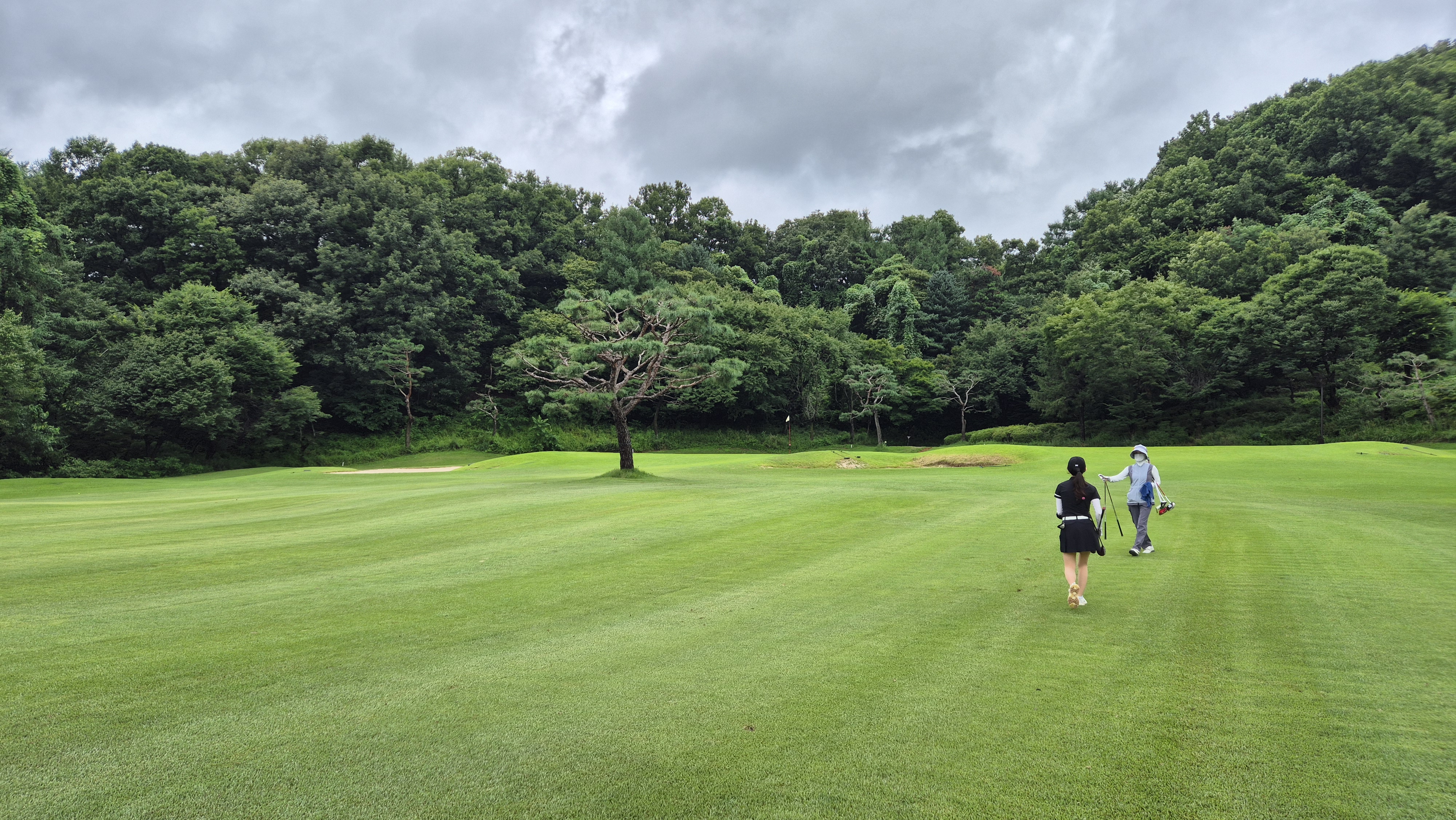 뉴서울cc 예술in-문화in 코스 사진 및 공략 정보