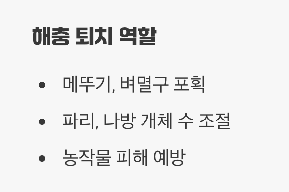 해충이 아닌, 숲의 파수꾼 '익충'