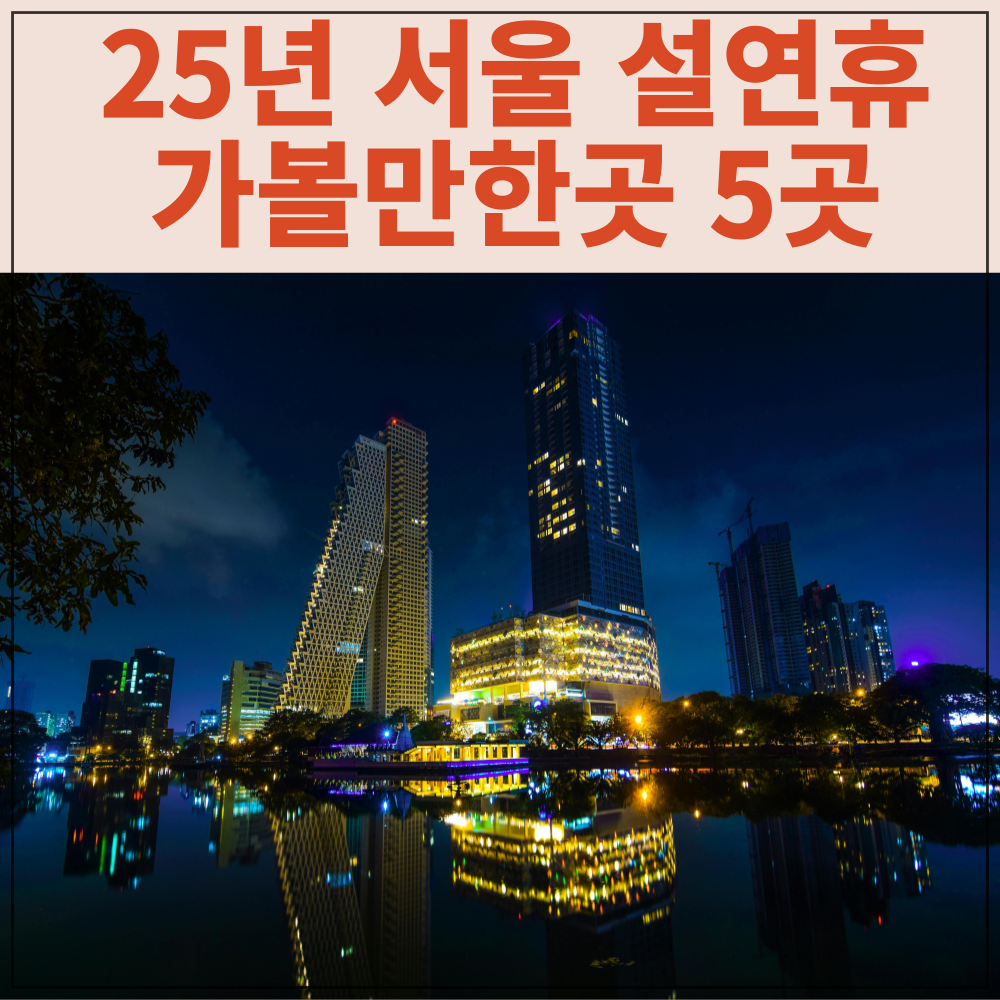 25년 서울 설연휴 가볼만한곳 5곳 추천