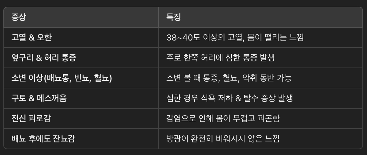 신우신염의 주요 증상