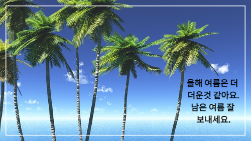 파란하늘과 파란바다 그리고 야자수