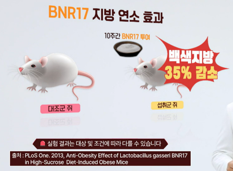 bnr17 유산균 효능