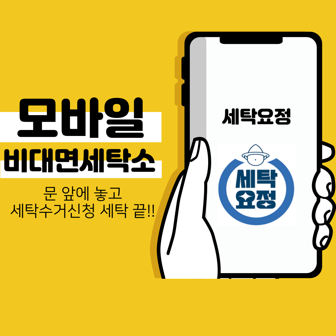 세탁요정
