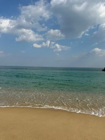 강릉 맛집 추천 여행코스에 포함하기 좋은 식당 리스트_23