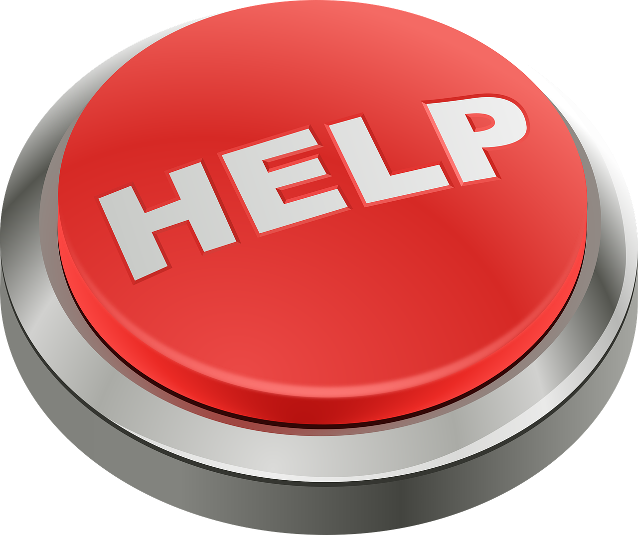 마지막 찬스 2025 정부지원금 총정리