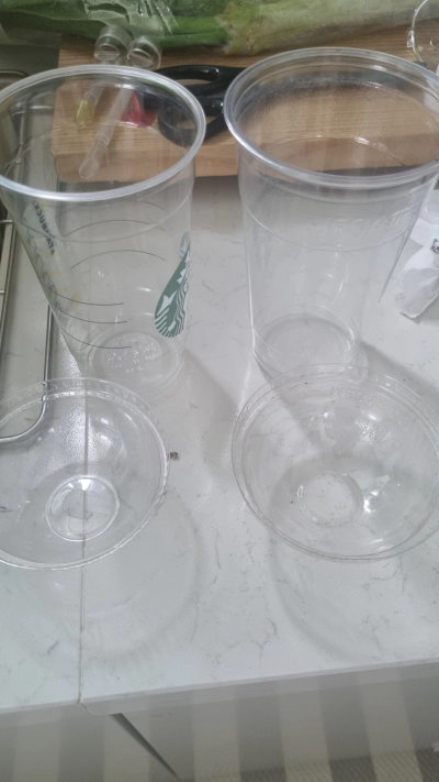 브라인쉬림프 에그 부화기 급여 및 보관 방법 가격 후기