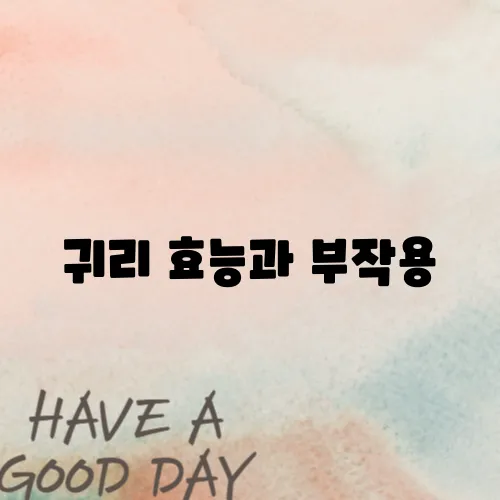 귀리 효능과 부작용
