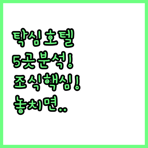이스탄불 탁심 호텔 5곳 완벽 비교 ..