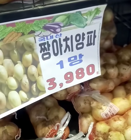 양파 심는 시기 및 7가지 효능 (+ 보관법 양파즙 양파김치 레시피)