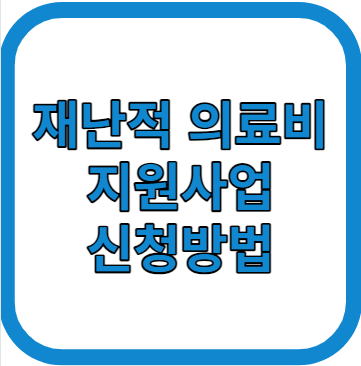 재난적 의료비 지원사업