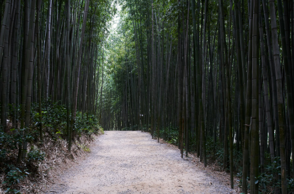 비 오는 날이 더 좋은 국내 여행지