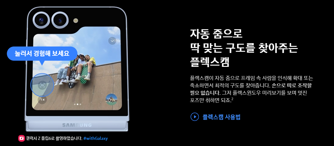 플립6