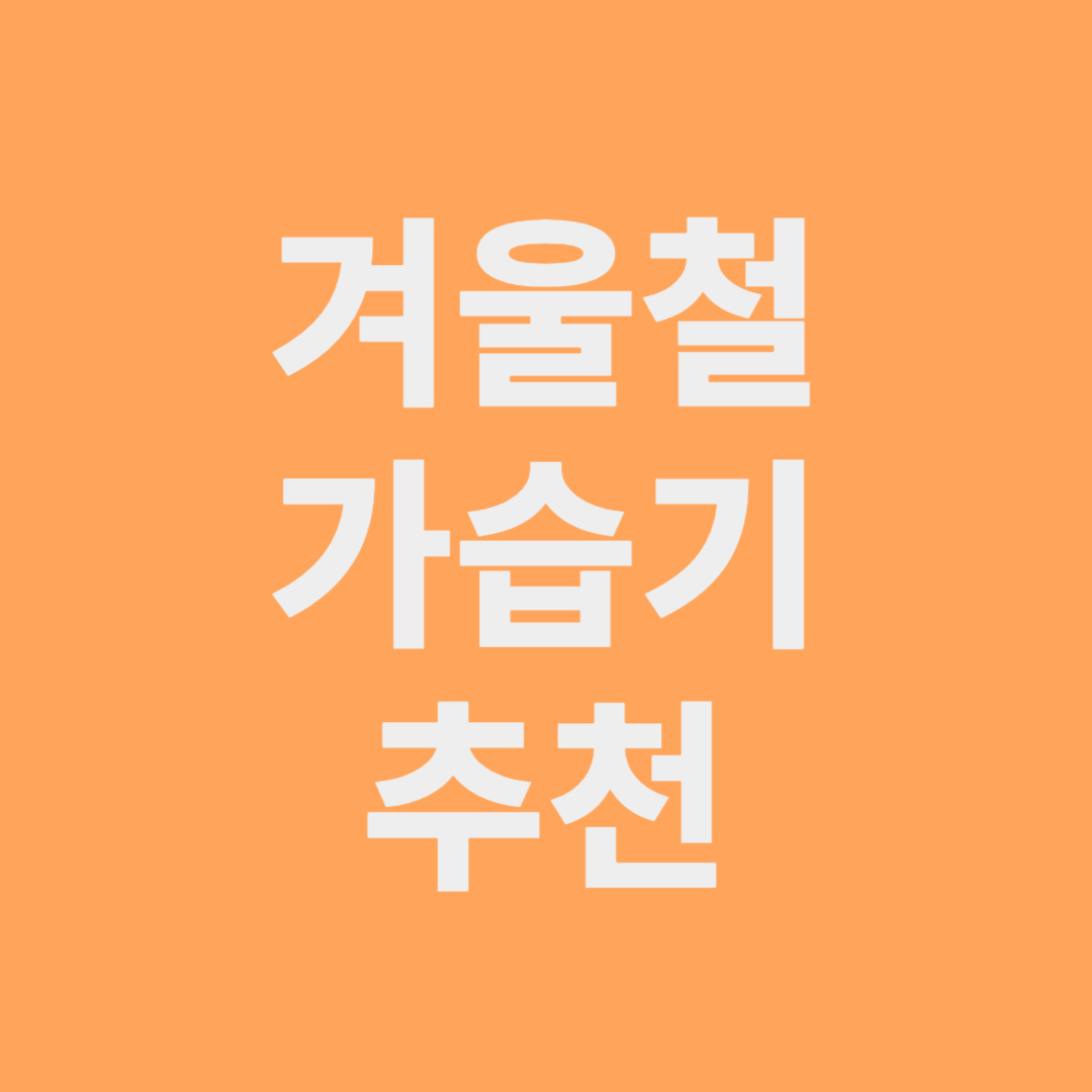 겨울철 가습기 추천