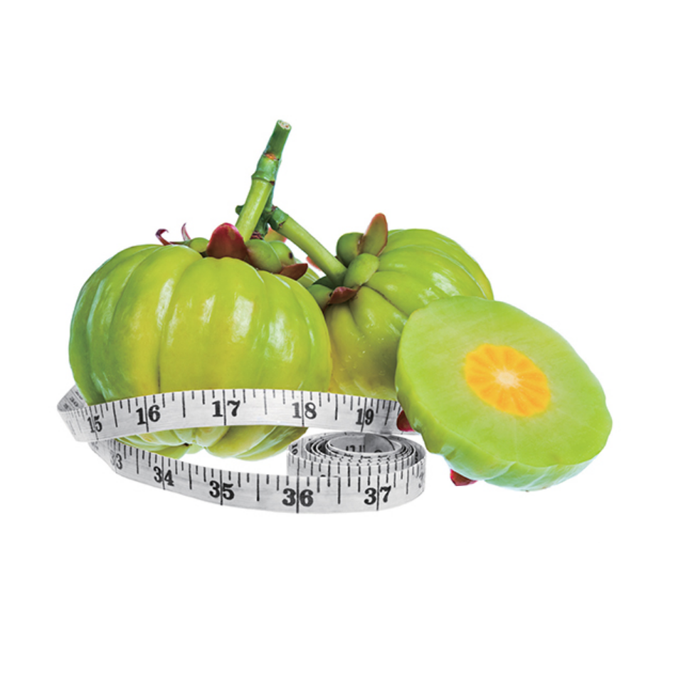 가르시니아-캄보지아-추출물-HCA-효능-우수성을-소개하는-건강프로그램