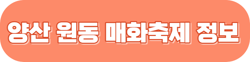 꽃 축제