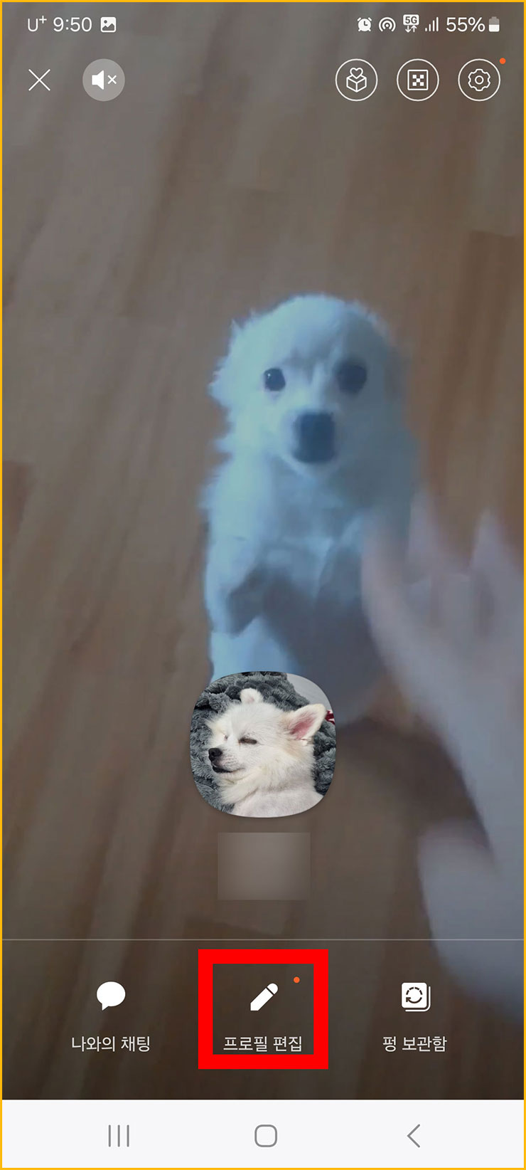 카톡 디데이 설정 및 공백 추가